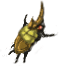 Beetle_Death.gif